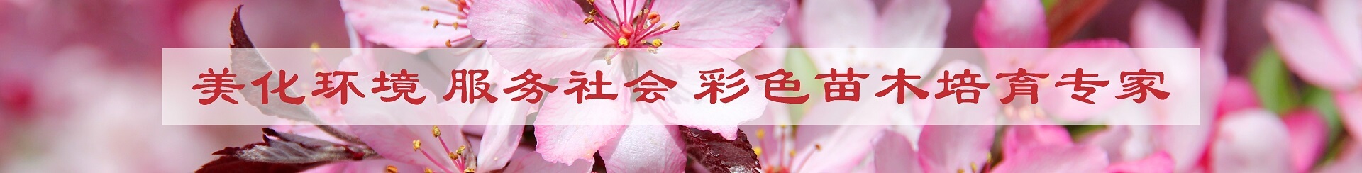 中高頻電磁感應加熱設備廠家